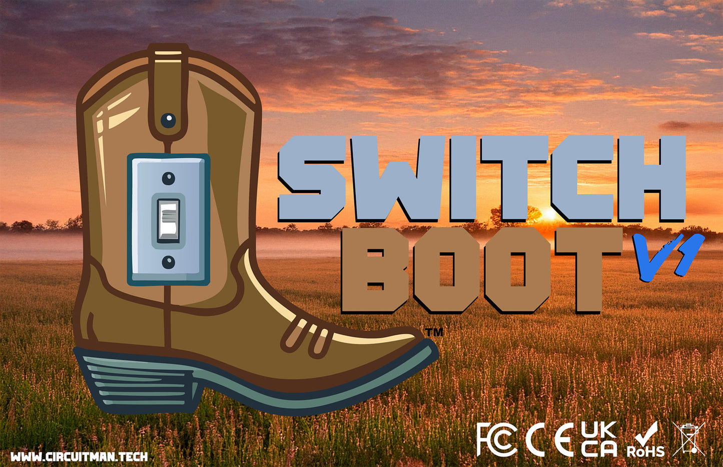 Switch Boot V1
