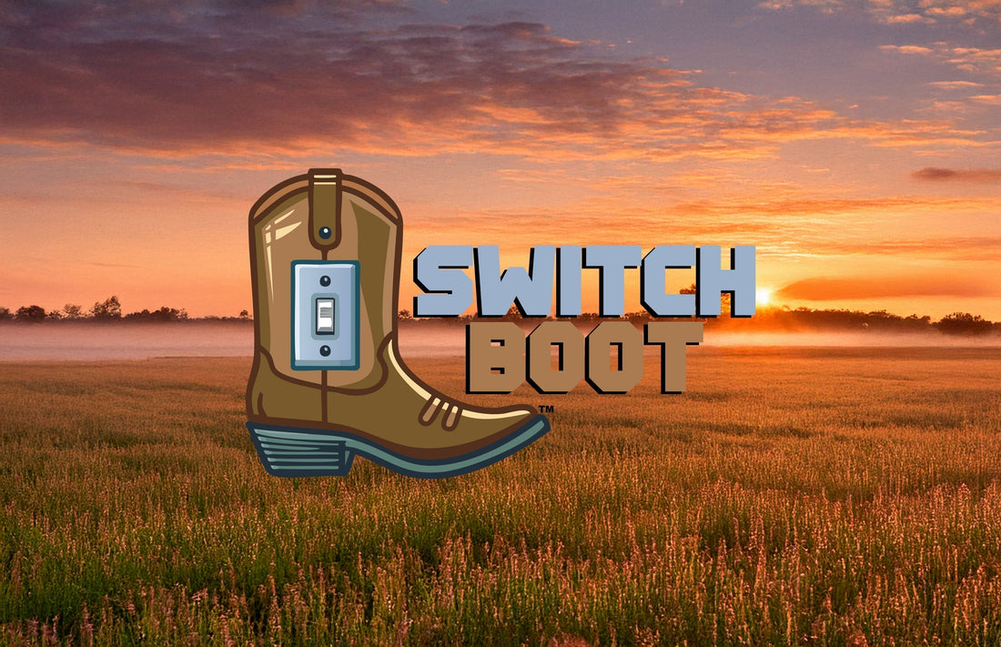 Introducing the Switch Boot!